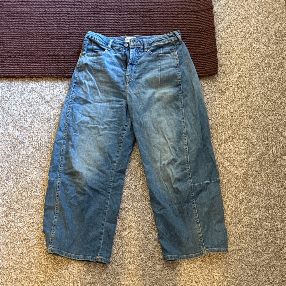 Pilcro Barrel Jeans in Blue